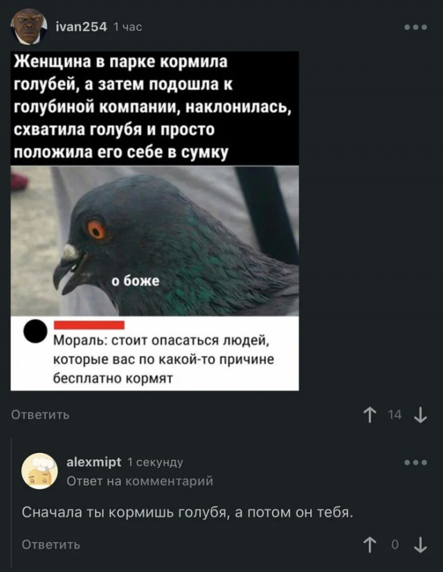 Забавные комментарии, которые как острый соус приправляют сам пост