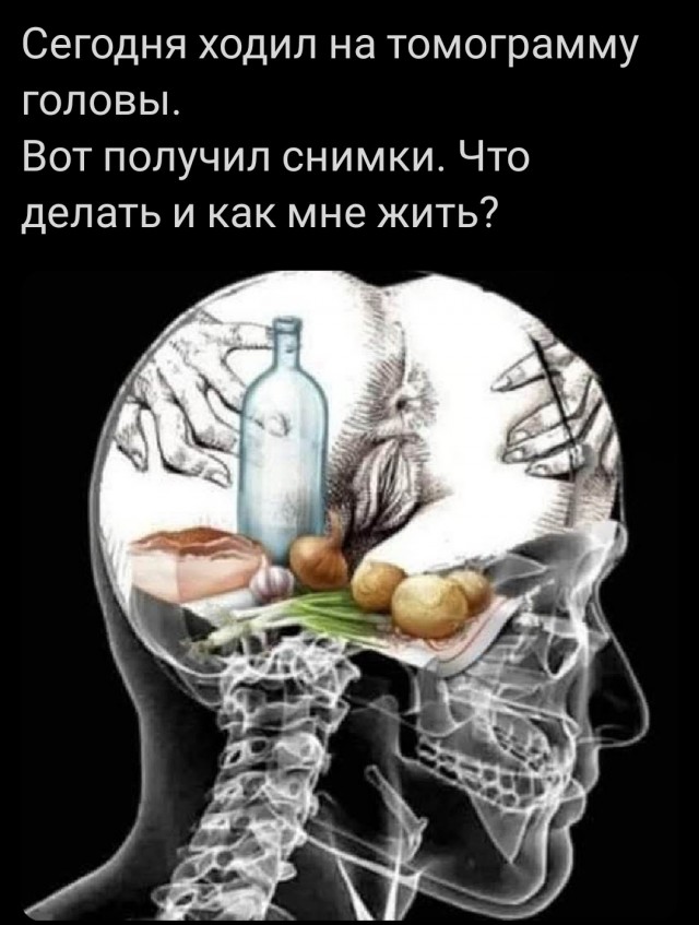 Веселые картинки в пятницу (06.06)