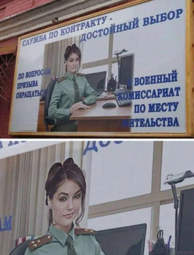 Сова на отдыхе