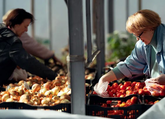 Цены попали в яблочко. Летом цены на овощи и фрукты традиционно снижаются — в среднем на 1–12%