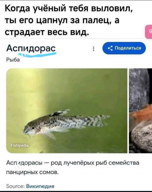 Картинки для деградации 7 (разной степени свежести)