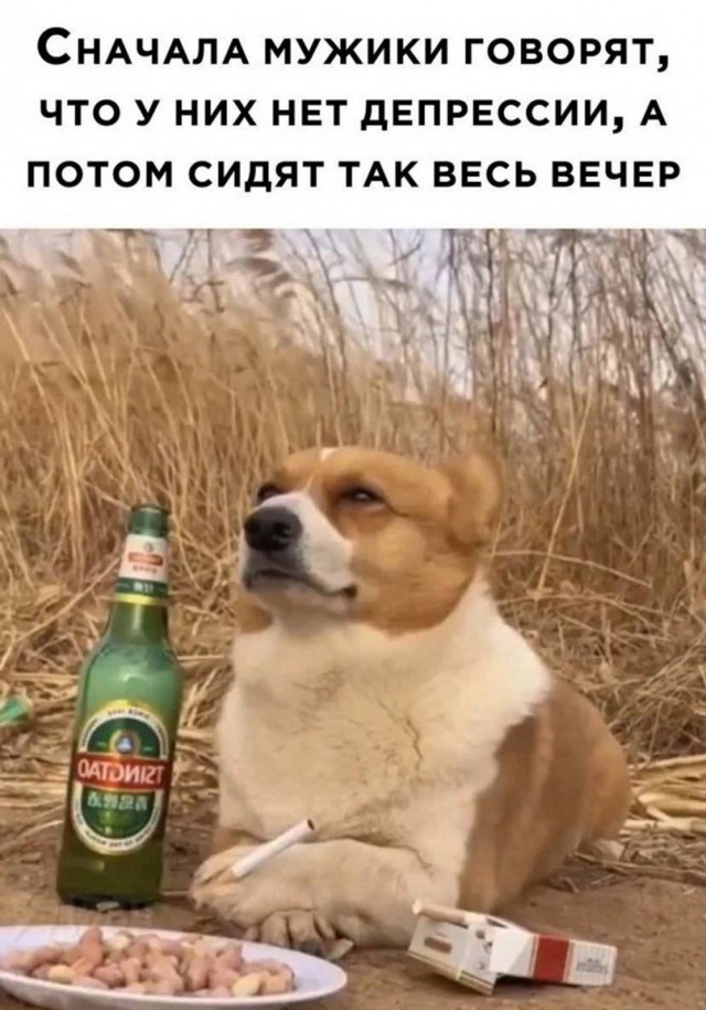 Веселое настроение в картинках (17.10.2025)