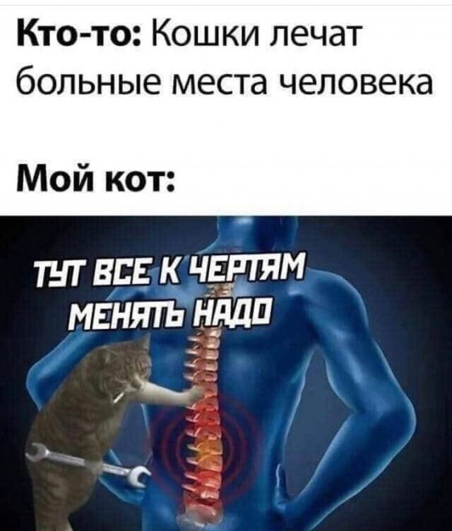 с наступившим годом лошади, продолжаем праздновать!