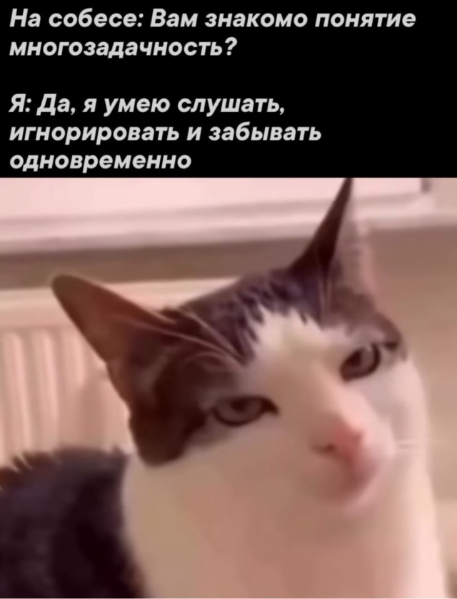 Прикольные и просто красивые картинки 27.02.2026
