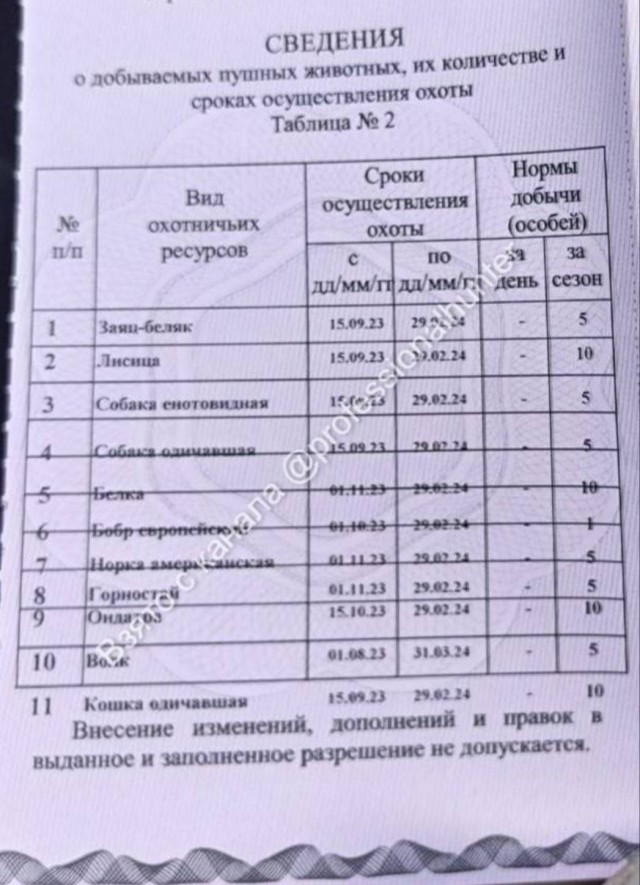 Неизвестный застрелил двух собак-спасателей поискового отряда "ЛизаАлерт" в Псковской области
