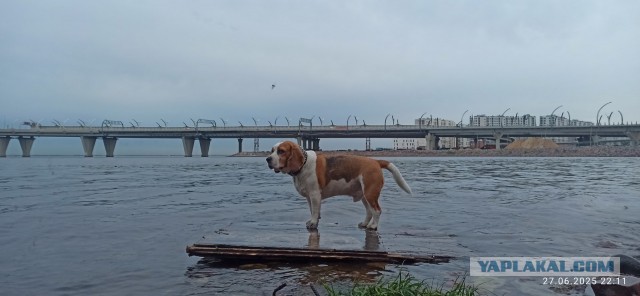Ура! Едем купаться!