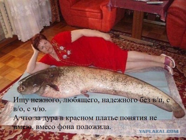 Все мы посматриваем порнуху, и всем нам внушили...