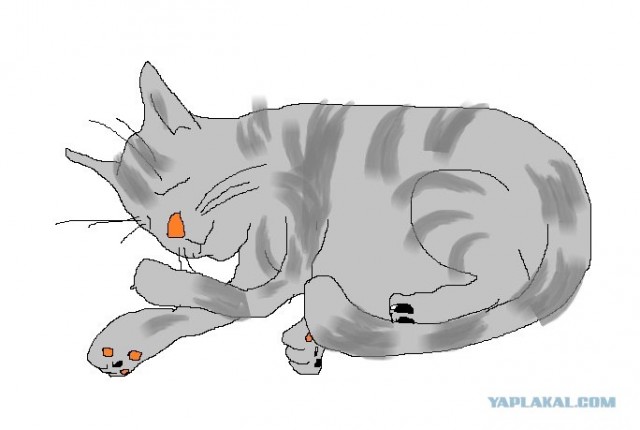 Моментальные портреты моих знакомых котов.