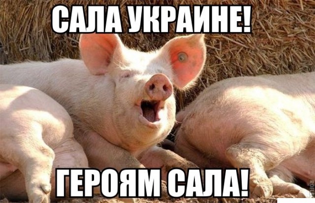 Прямая трансляция марша мира!