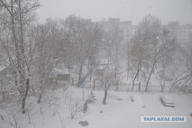 А тем временем в Хабаровске