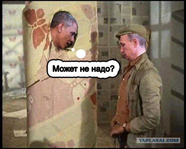 Одна жаба
