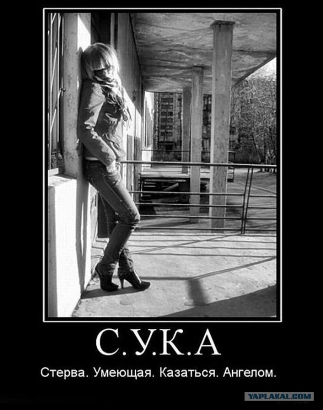 О женской логике