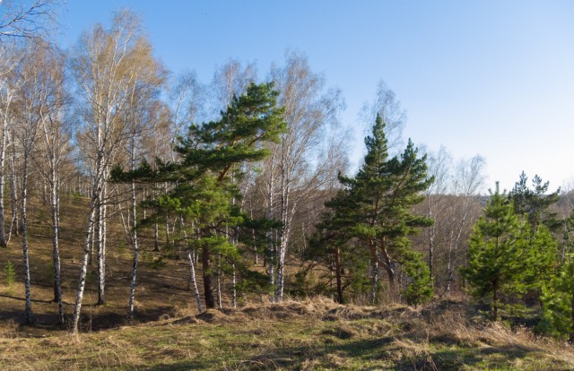 Деревенская Америка