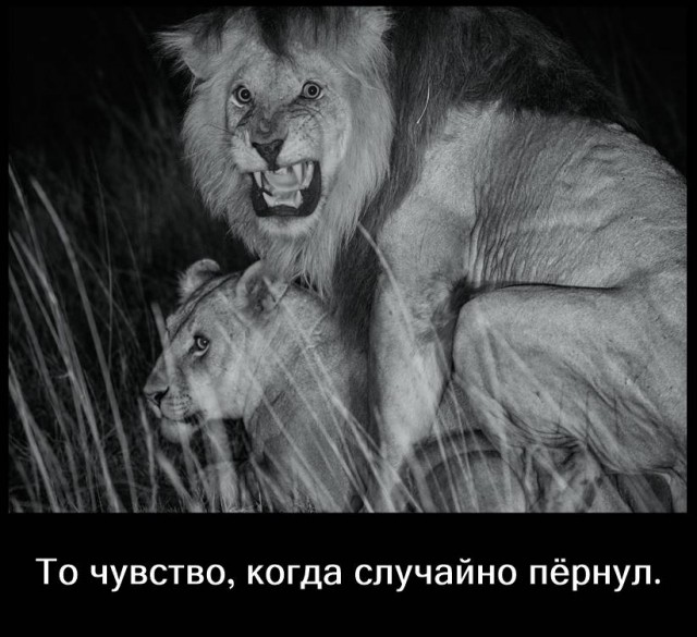 Женщины жалуются на метеоризм