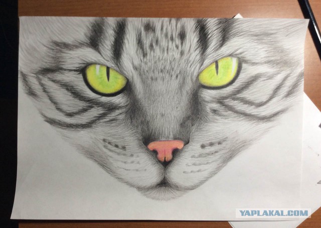 Девушка нарисовала котуху для котовторника
