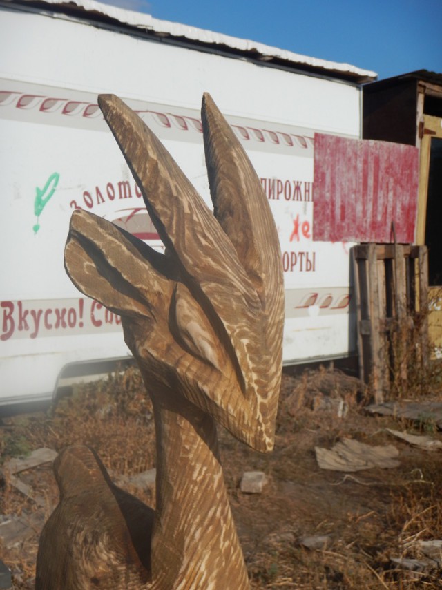 На заметку дачнику