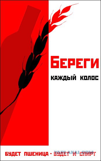 Фотоприколы