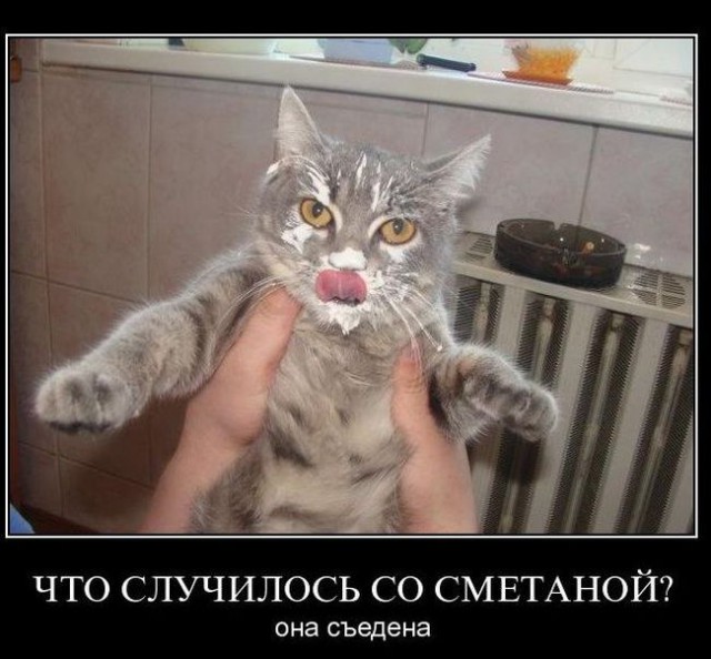 Картинки разные с интернету