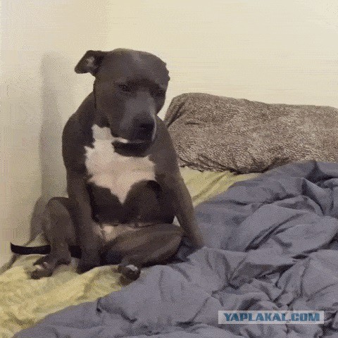 Будничное утро