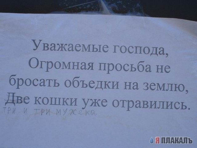 ОБЪЯВЛЕНИЯ. На стенах, в газетах, афиши.