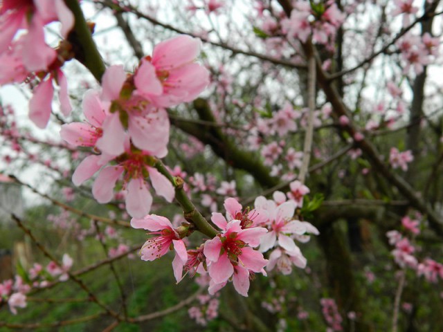 Красивая Россия