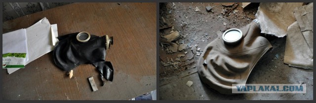 Семикаракорский консервный завод