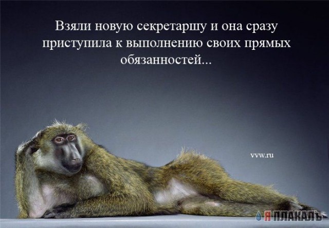 Офис в лицах (15 фото)