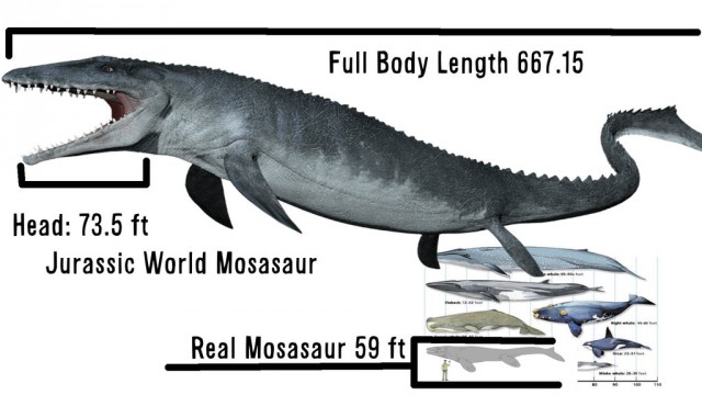 Цари подводного мира: Мегалодон vs Левиафан Мелвилла