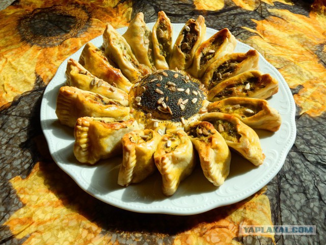 Соленый подсолнух