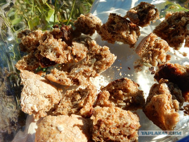 Скумбрия с хлебом