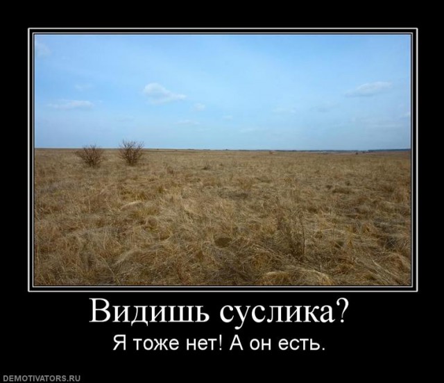 Работа программиста должна стоить ничего