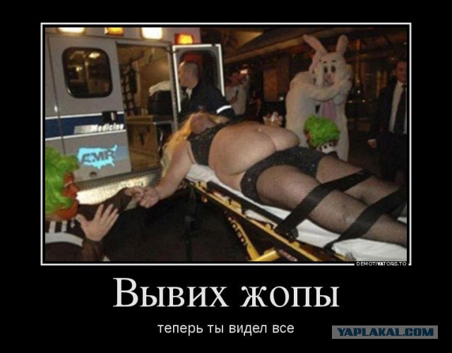 Подборка интересных и веселых картинок