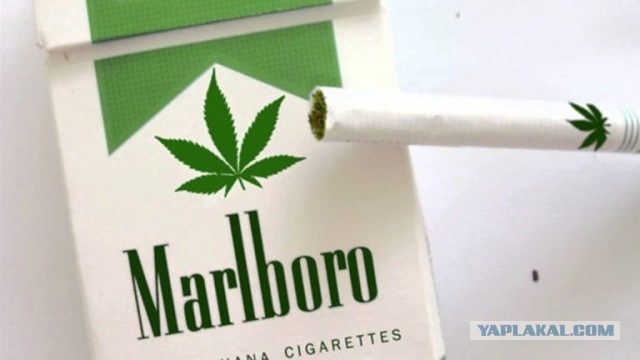 Владимир Познер выступил за легализацию наркотиков