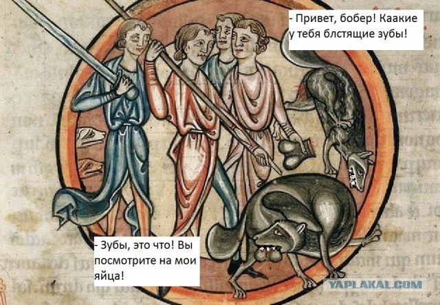 Веселое Средневековье