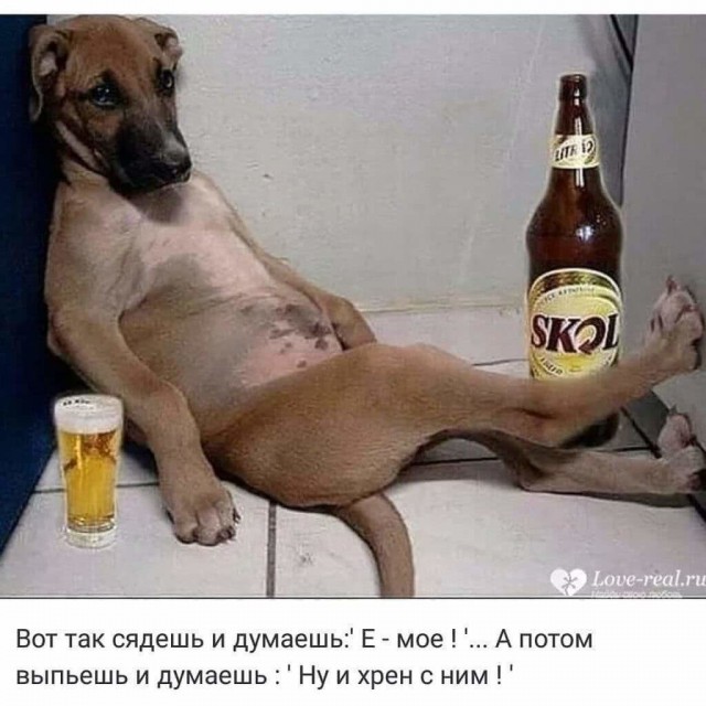 Дурацкие картинки