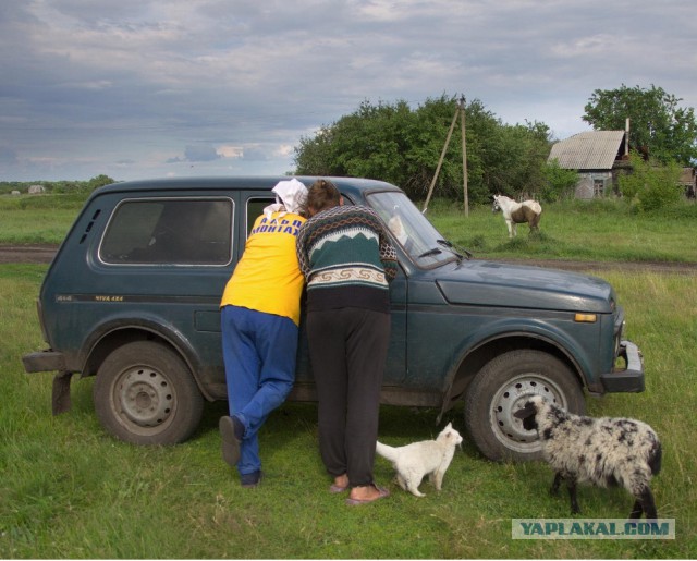 Каникулы в деревне