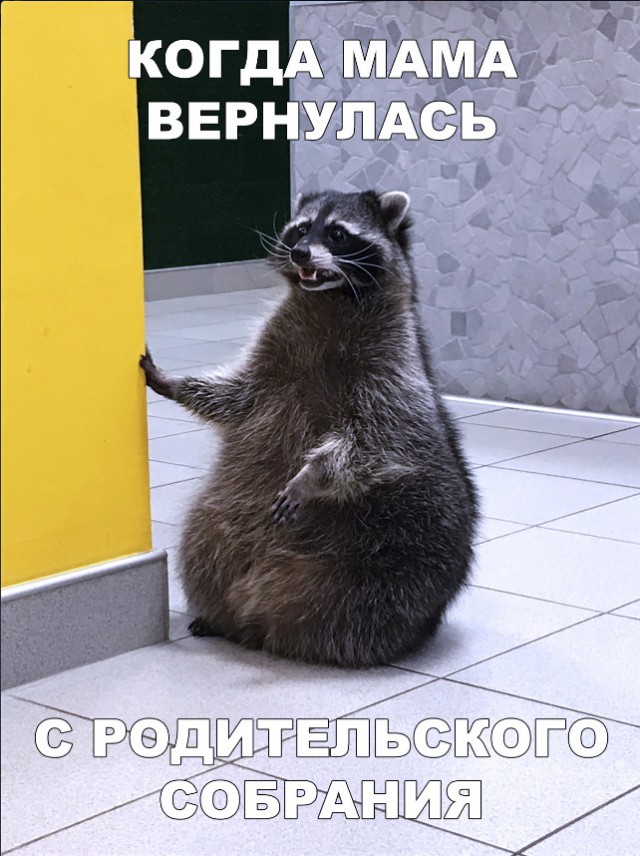 Нестандартный юмор