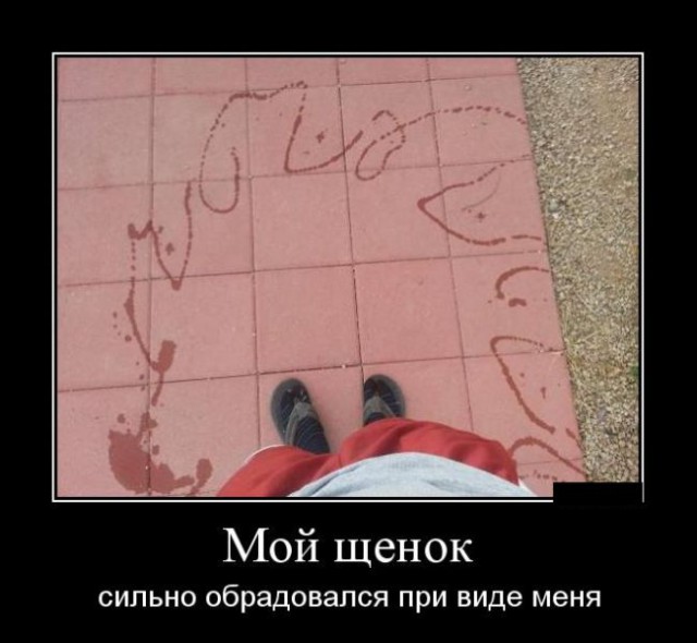Снимки, которые можно приложить к больной душе вместо подорожника