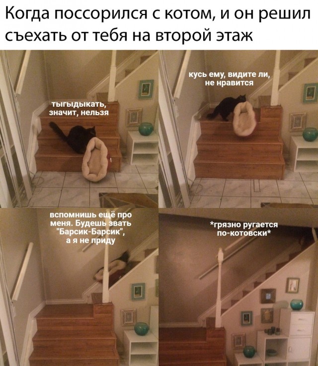 Немного картинок для настроения