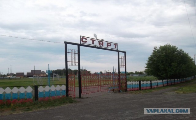Яжемать добивается закрытия площадки для дрессировки собак