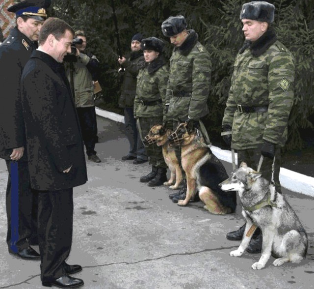 Россия и Аргентина
