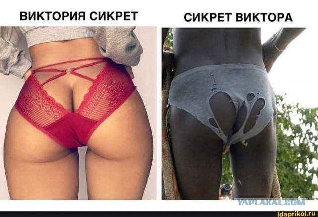 Трусы это важно