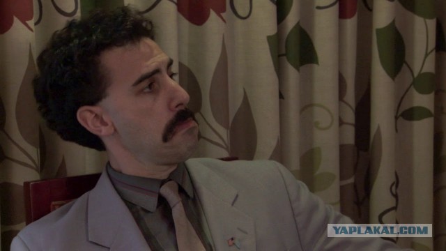 А Вы говорите лебеди во дворах.