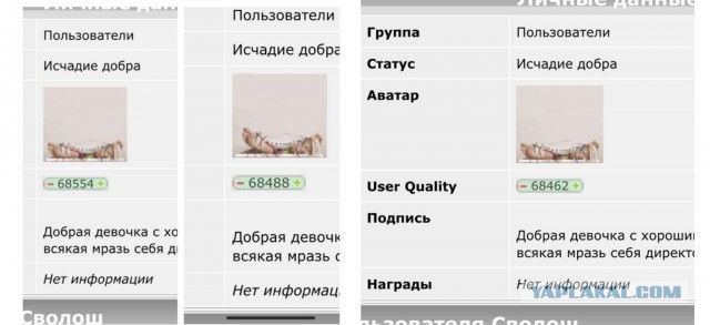Женское насилие в семье