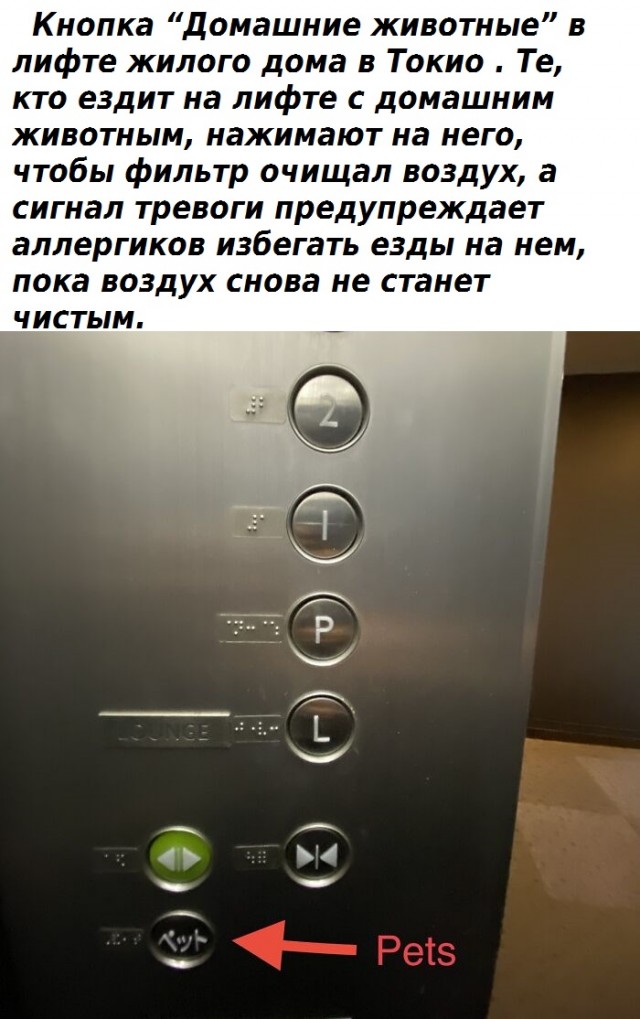 Факты, доказывающие, что Япония не похожа ни на одну другую страну .
