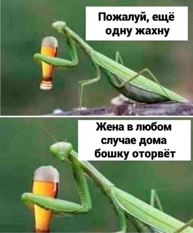 Картинки на среду 23.06.2021