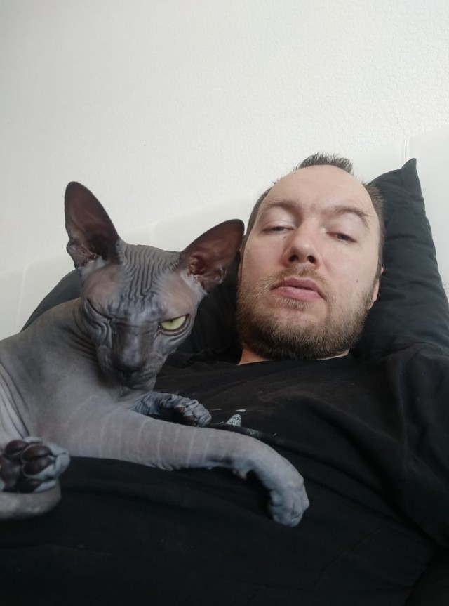 А котовторник уже начался?