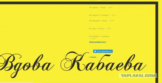 Торговая марка "Вдова Кабаева"