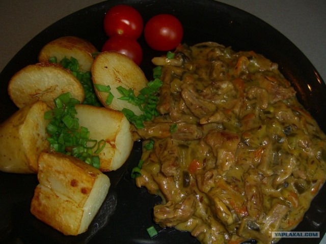 Курземес