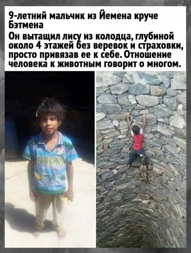 Так себе картинки 19.08.21